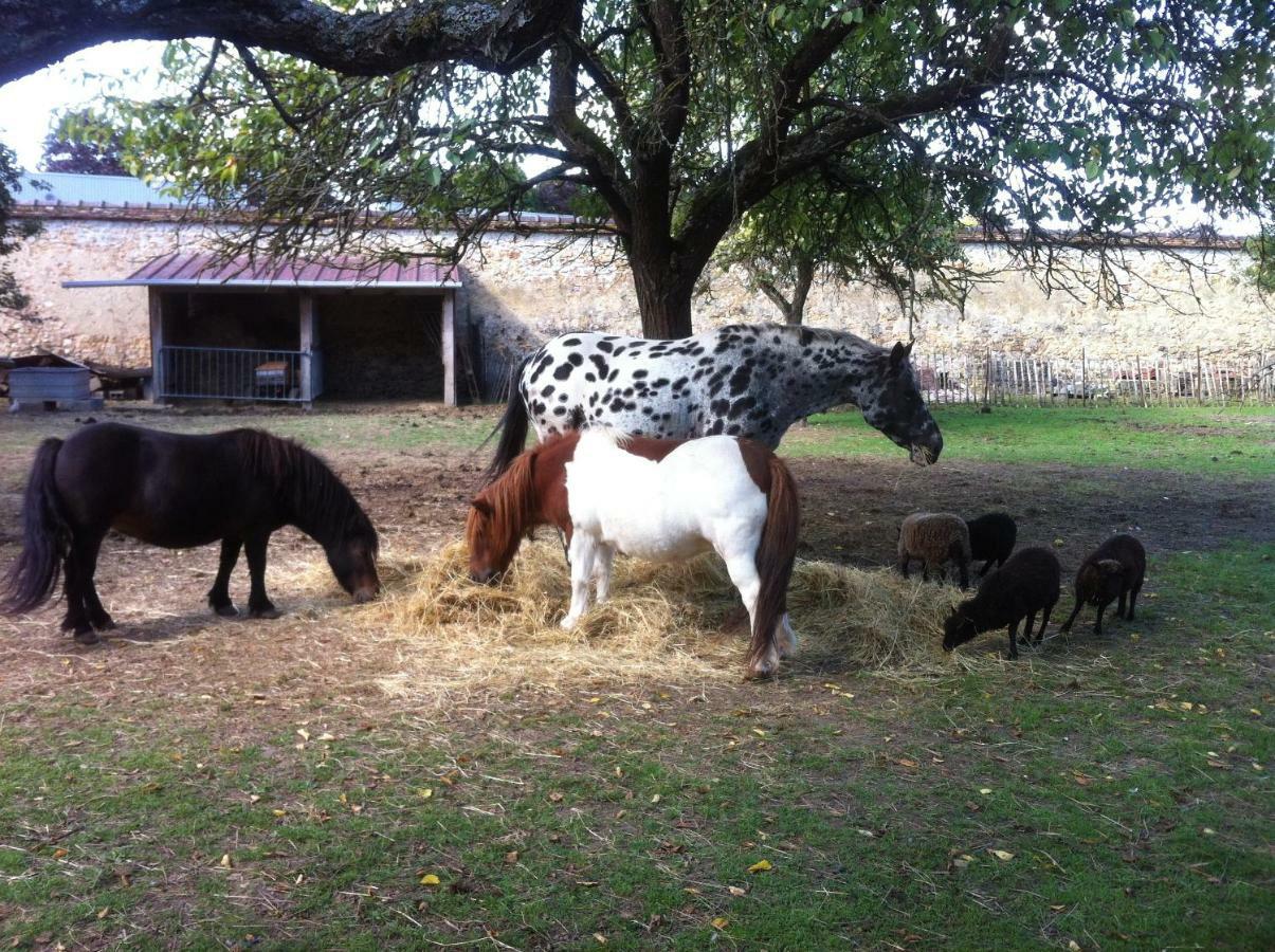 Bed & Breakfast Le Clos Des Cordeliers